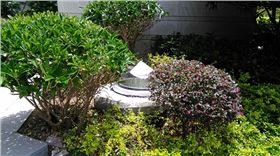 珠海东方墅光导照明应用