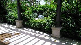 五洲湾光导照明应用