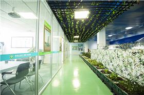 侧墙水平传输光线照明效果