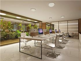 香港正能量生态办公基地 香港正能量生态办公基地