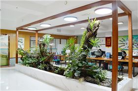 无电照明 无电照明