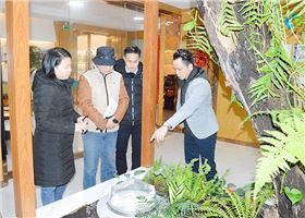 双模式无电照明系统