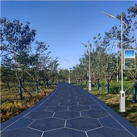 红阳正道一体化光能路灯.jpg