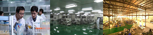 香港正能量，光导照明专业供应商，8年专注