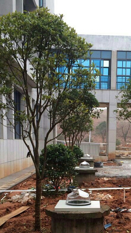 光导照明施工 光导照明施工