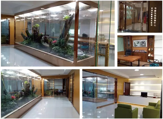 正能量生态体验中心改造后环境