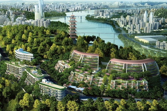 重庆鹅岭峰——导光系统应用 重庆鹅岭峰——导光系统应用