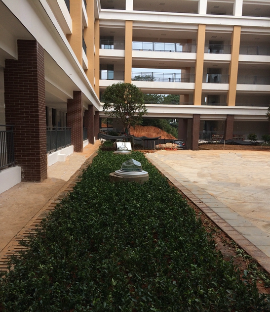 红桥中学光导 红桥中学光导