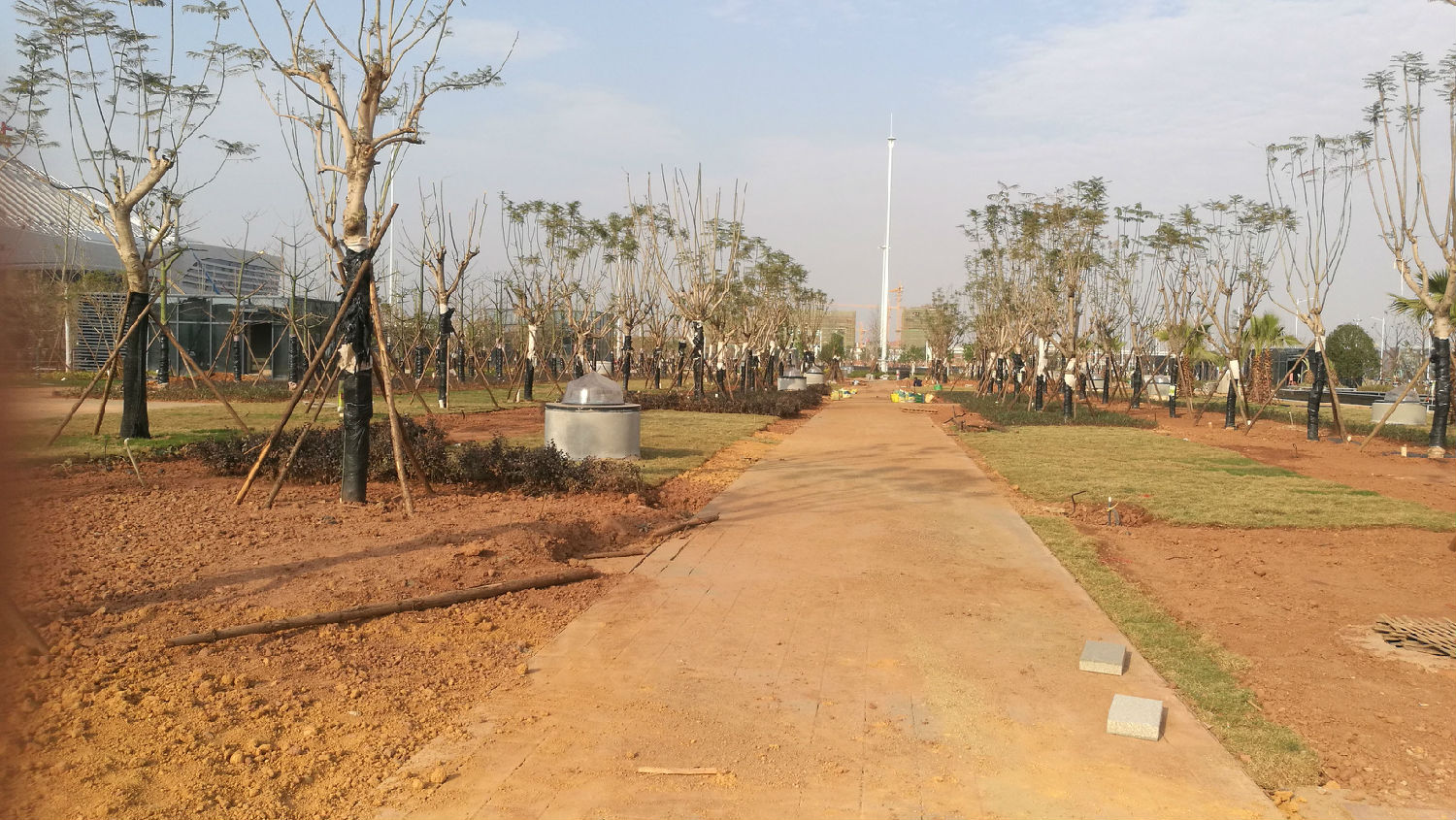 采光阳光中 采光阳光中